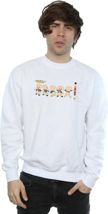 Actual product image Looney Tunes Mens Porky Pig Colour Code Sweatshirt (XXL)