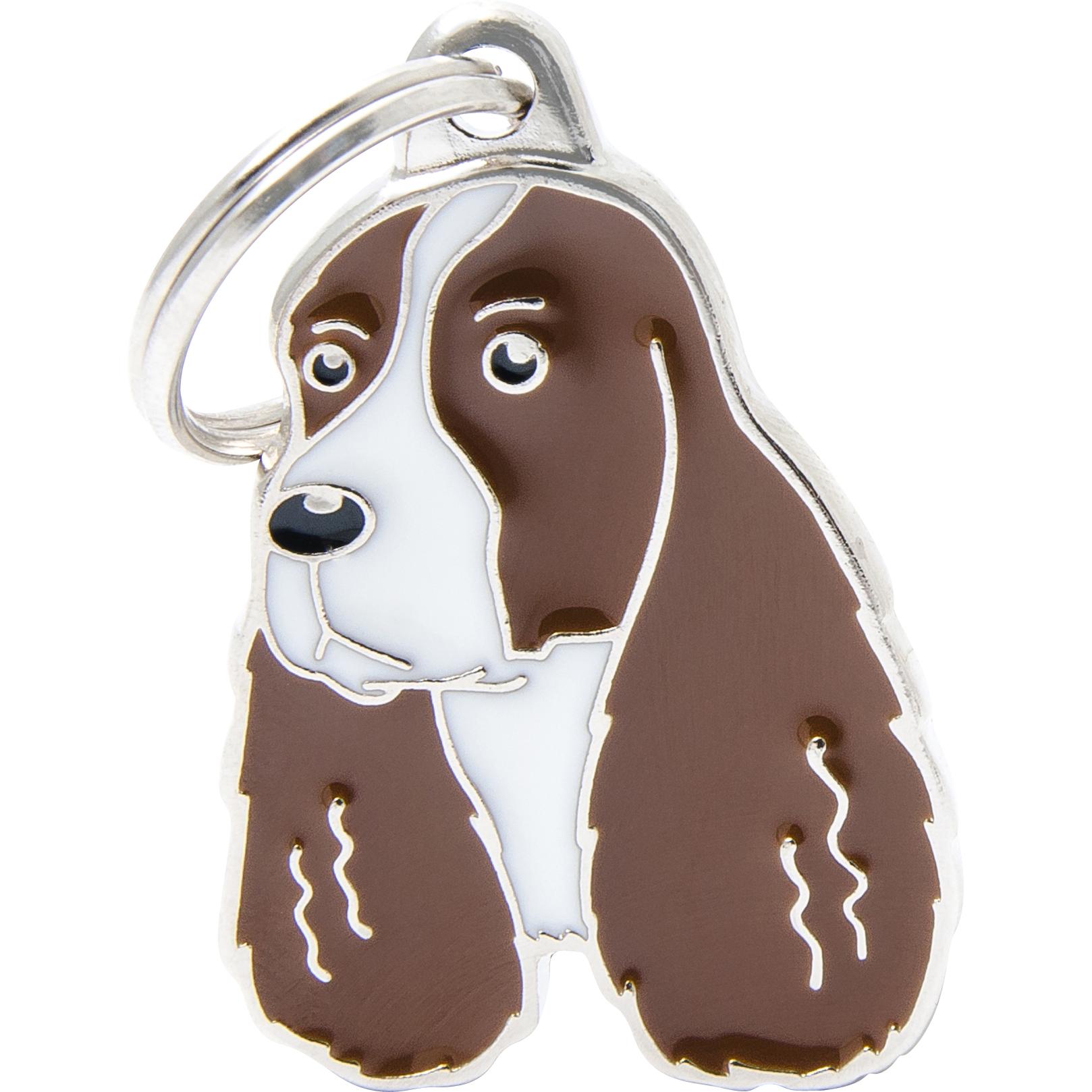 Myfamily Amici di MyFa tegn, Springer Spaniel, brun (Cane), Collare + Guinzaglio