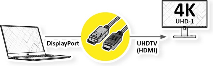 Actual product image Roline DisplayPort — HDMI (Typ A) (1 m, DisplayPort, HDMI)