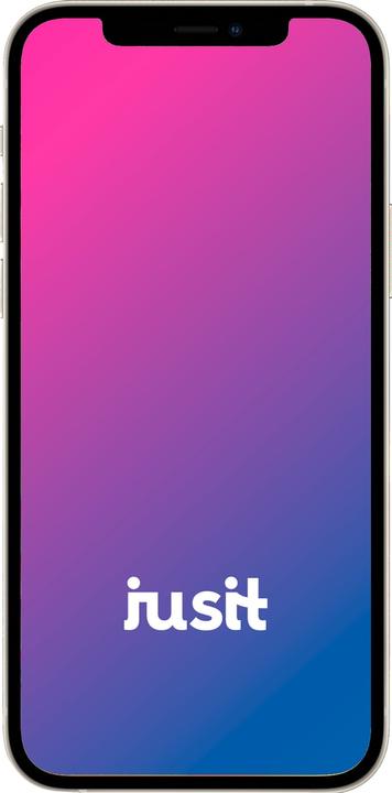 Immagine prodotto jusit iPhone 12 (128 GB, Bianco, 6.10", 12 Mpx, B / Molto bene)