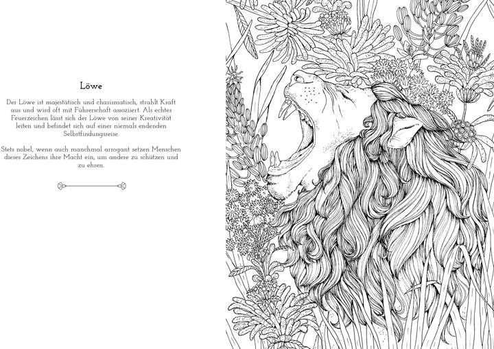 Produktbild Astrologie-Malbuch