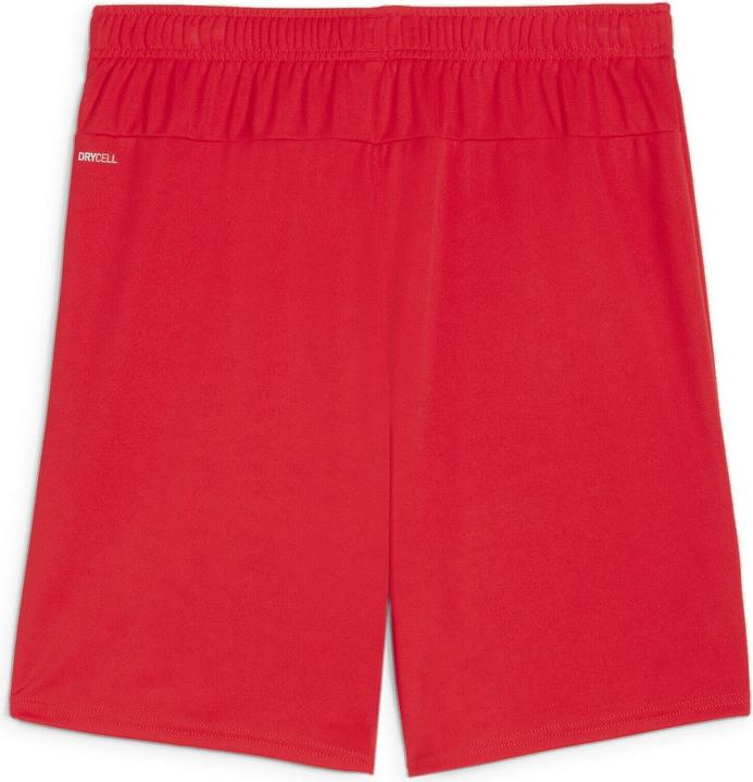 Image du produit Puma teamGOAL Short (3XL)