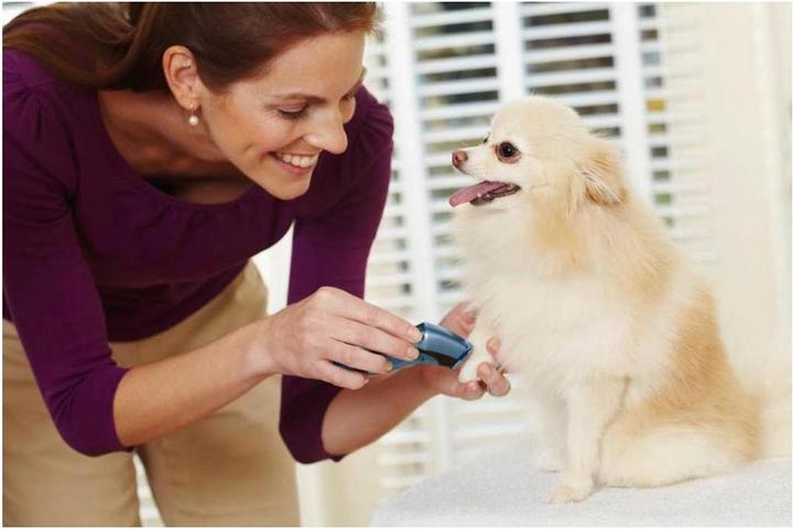 Produktbild Kerbl Oster (Hund)