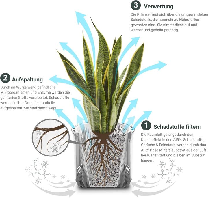 Actual product image Airy Biological air purifier (20 m²)
