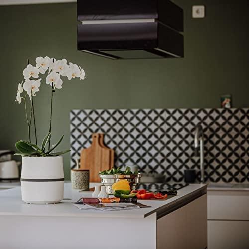 Actual product image Airy Biological air purifier (20 m²)