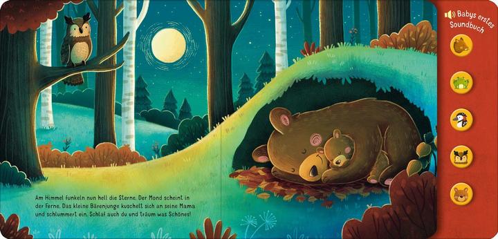 Actual product image Hör mal, so klingt der Wald! (German)