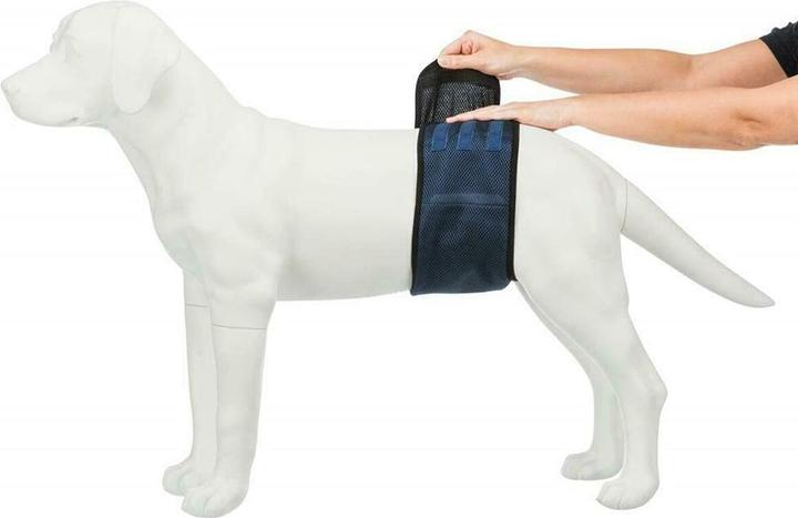 Actual product image Trixie Male bandage L 55-65cm (Dog)