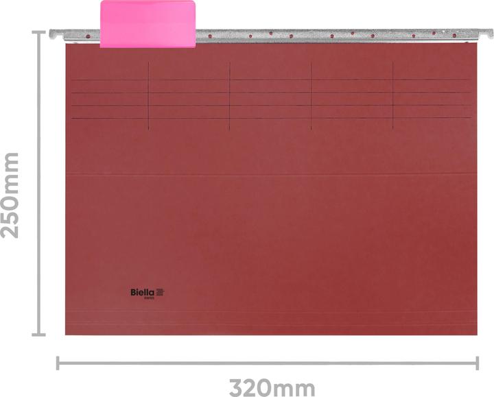 Immagine prodotto Biella Set di file di sospensione Originale (A4, 5 x)