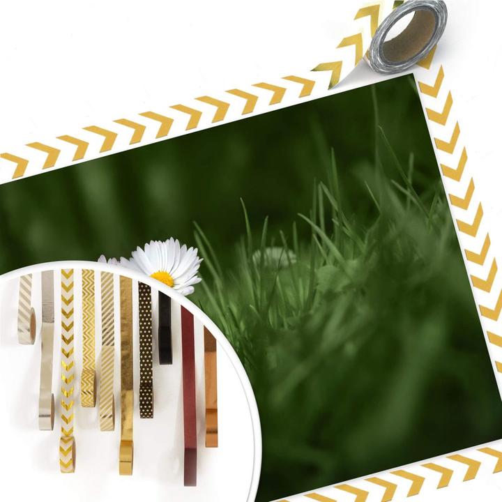 Produktbild Trenddeko Ben Heine - Zwei Gänseblümchen (60 x 50 cm)