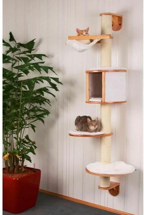 Actual product image Kerbl Dolo (168 cm, White)