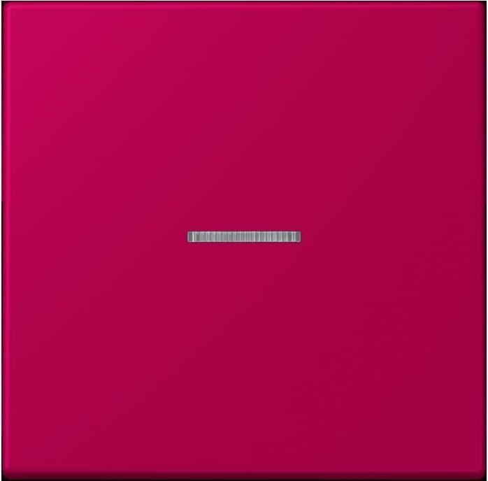 Actual product image JUNG Button