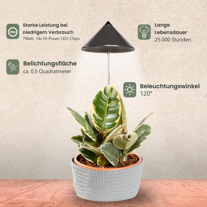 Actual product image Colibri SUNLiTE grey (LED, 230 V)