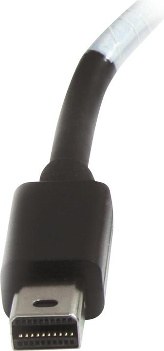 Actual product image StarTech Mini DP zu (DVI, 20 cm)