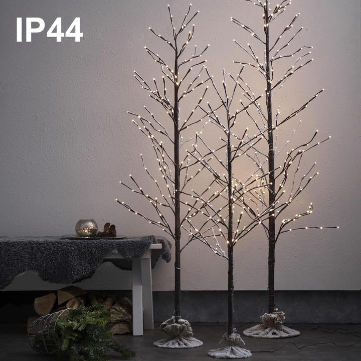 Image du produit Star Trading Tobby