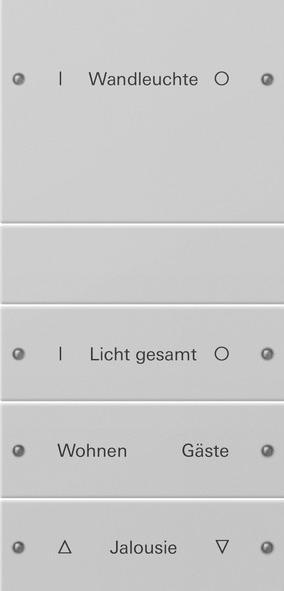 Actual product image Gira Rocker set