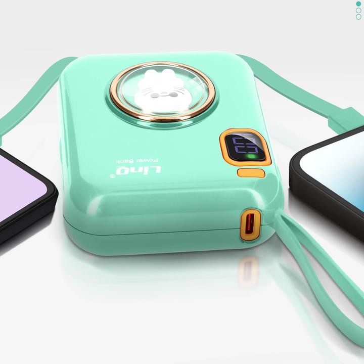 Produktbild LinQ TM16004 15.000mAh Powerbank (15000 mAh)