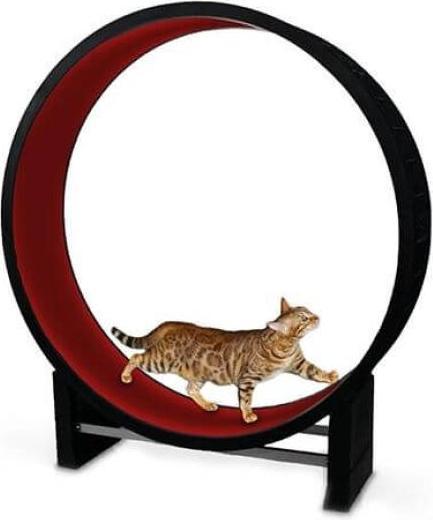 Actual product image CanadianCat Cat in Motion schwarz/rot (Cat activity toy)