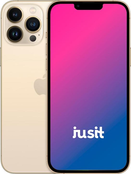 Immagine prodotto jusit iPhone 13 Pro Max (256 GB, Oro, 6.70", 0.00 Mpx, B / Molto bene)