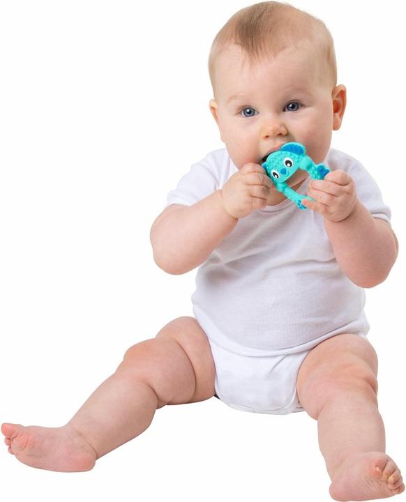 Productafbeelding Playgro Kalmeer & Kauw Siliconen Bijtringen (10188759)