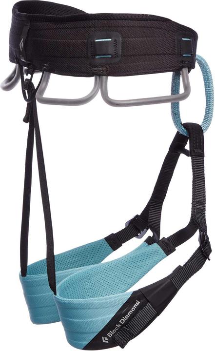 Image du produit Black Diamond Harnais Technician (M)