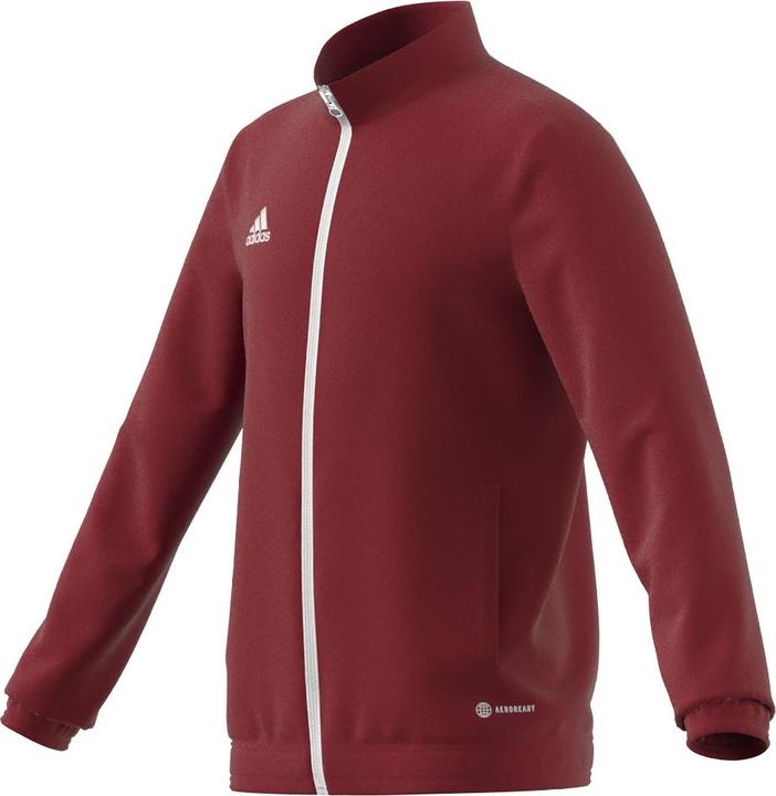 Actual product image adidas Entrada 22 training jacket kids (176)