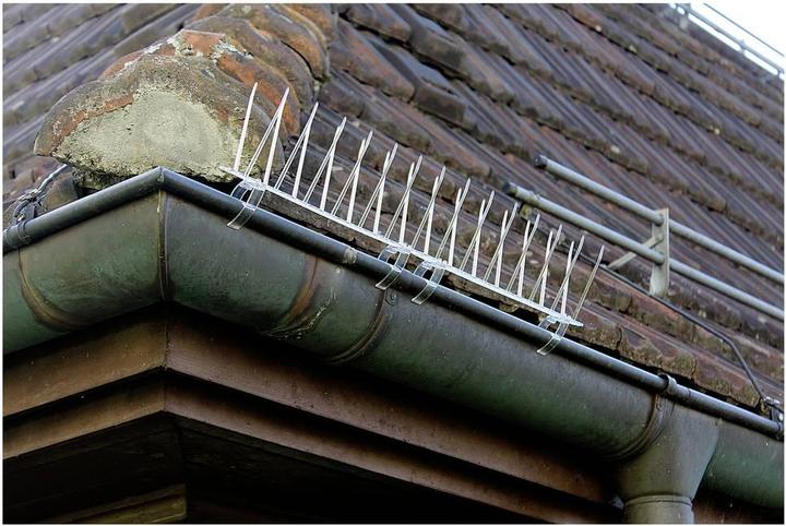 Actual product image Swissinno Clips 6er für Montage von Taubenabwehr-Spikes an Dachrinnen