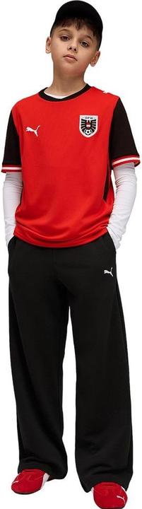 Actual product image Puma ÖFB Home Jersey Replica Jr (140)