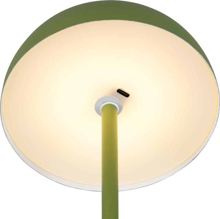 Immagine prodotto Reality LED-Akku-Tischleuchte MUNOZ, R54891115, 1,3W, 120lm, 3000K, grün (120 lm)