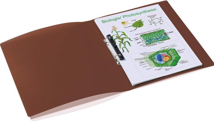 Immagine prodotto HERMA Raccoglitore ad anelli A4 traslucido (A4, 25 mm, 1 pz.)