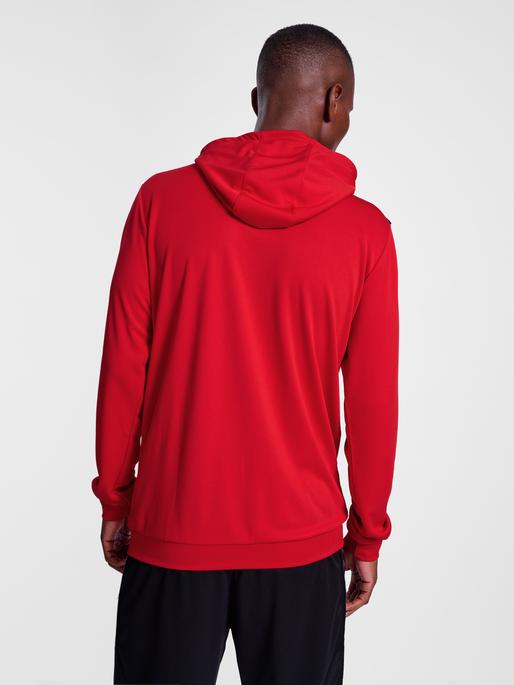 Actual product image hummel Hmlauthentic Pl Hoodie (XL)