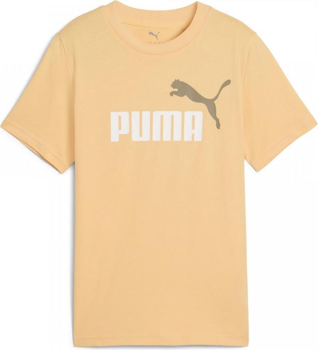 Actual product image Puma ESS 2 COLOR No.1 Logo Tee B (176)