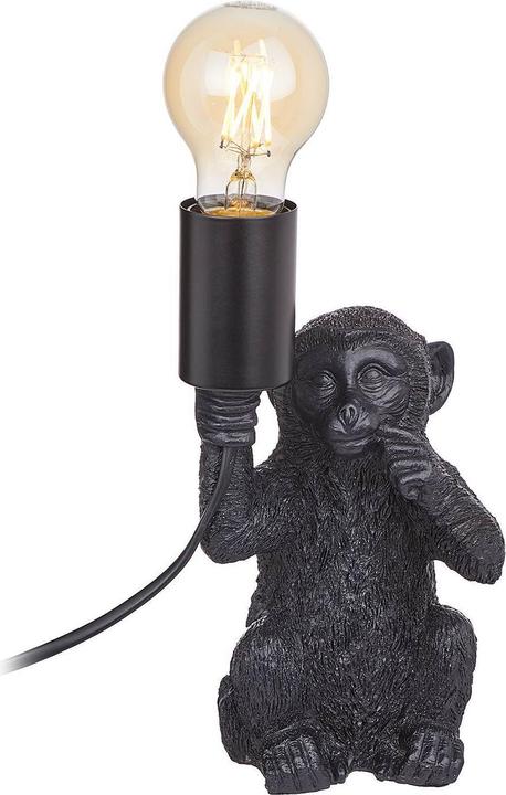 Produktbild home24 Monkey Town (E27)