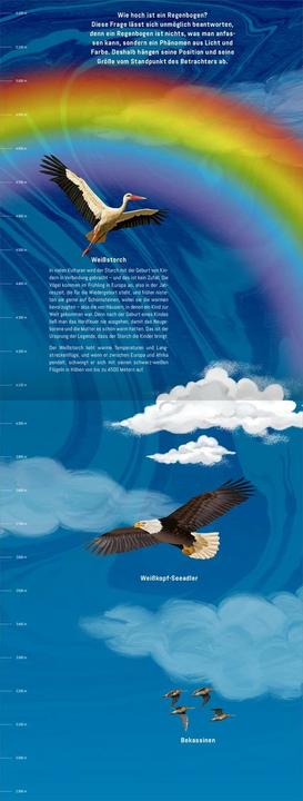 Immagine prodotto Hinauf ins Himmelblau (Tedesco, Andreas cacciatore, Gianumberto Accinelli, Giulia Zaffaroni, 2024)