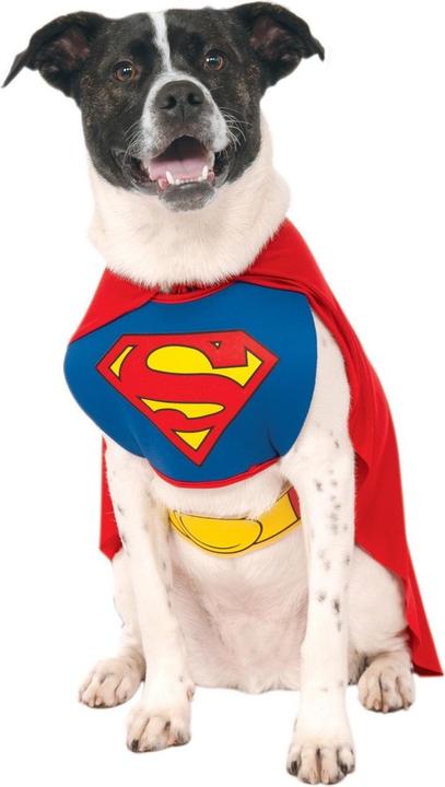 Actual product image Superman Dog Costume (L, Dog costume)
