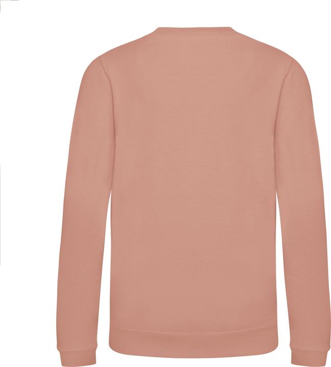 Produktbild Just Hoods Kids' AWDis Sweat (170)
