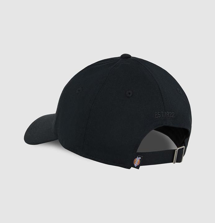 Actual product image Dickies Essential Dad Cap