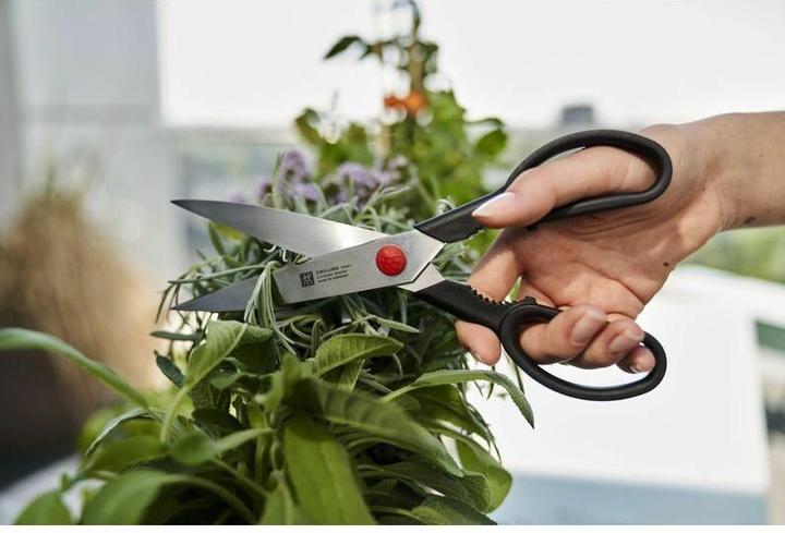 Image du produit Zwilling Twin L (23 cm)