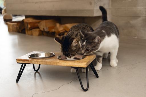 Immagine prodotto Designed by Lotte Linga (32 cl)