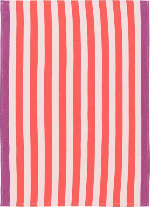 Image du produit BYYU Myla (70 x 50 cm)