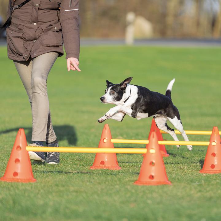 Produktbild Trixie Dog Activity (S, Agility)