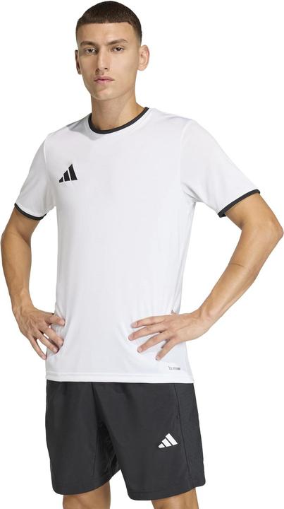 Actual product image Adidas Entrada T-Shirt (XL)