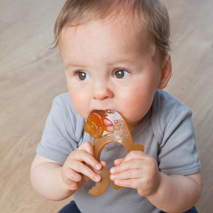 Actual product image Grünspecht Organic dinosaur (0 Months)