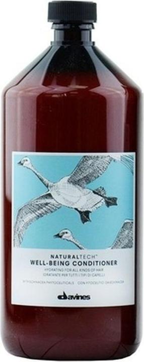 Actual product image Davines Naturaltech Wellbeing Conditioner odżywka do codziennej pielęgnacji 1000ml (U) (1000 ml)