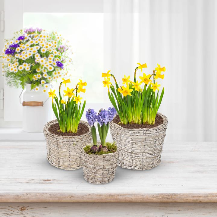 Image du produit Relaxdays 3x pot de fleurs (25 cm)