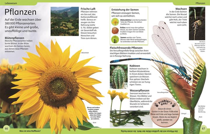 Immagine prodotto DK Kinderlexikon. Mein erstes Lexikon (Tedesco, Anita Oxlade Ganeri, 2022)