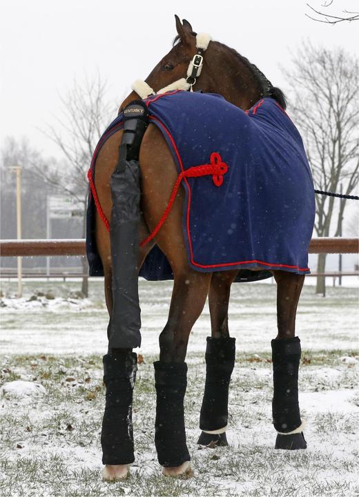 Actual product image Kentucky Horsewear Tail protector tail bag