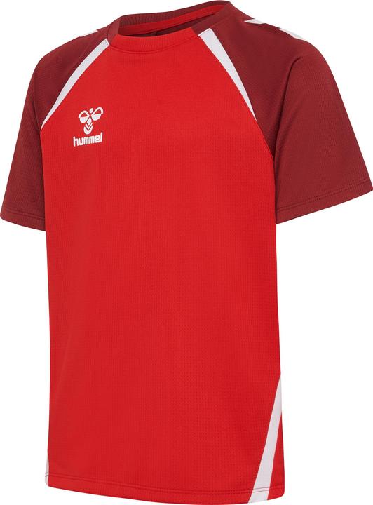 trueredmaroon