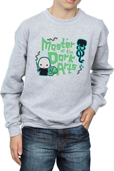 Produktbild Voldemort Dark Arts Junior Sweatshirt Jungen (116)