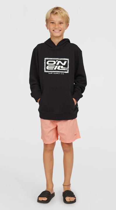Immagine prodotto O'Neill Logo Hoodie (152)