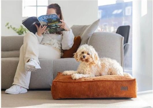 Productafbeelding Designed by Lotte DUBBEL BANKKUSSEN RIBBED TERRA 70X55X15 (Hond)